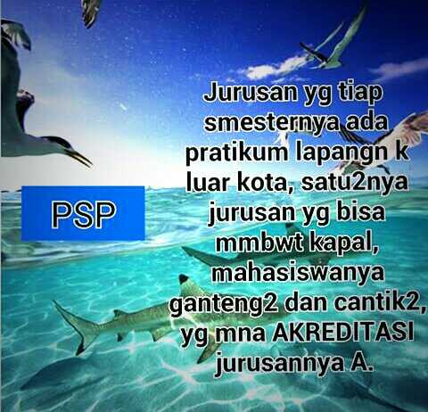 Selamat kepada jurusan PSP yang telah mendapatkan Akreditas A