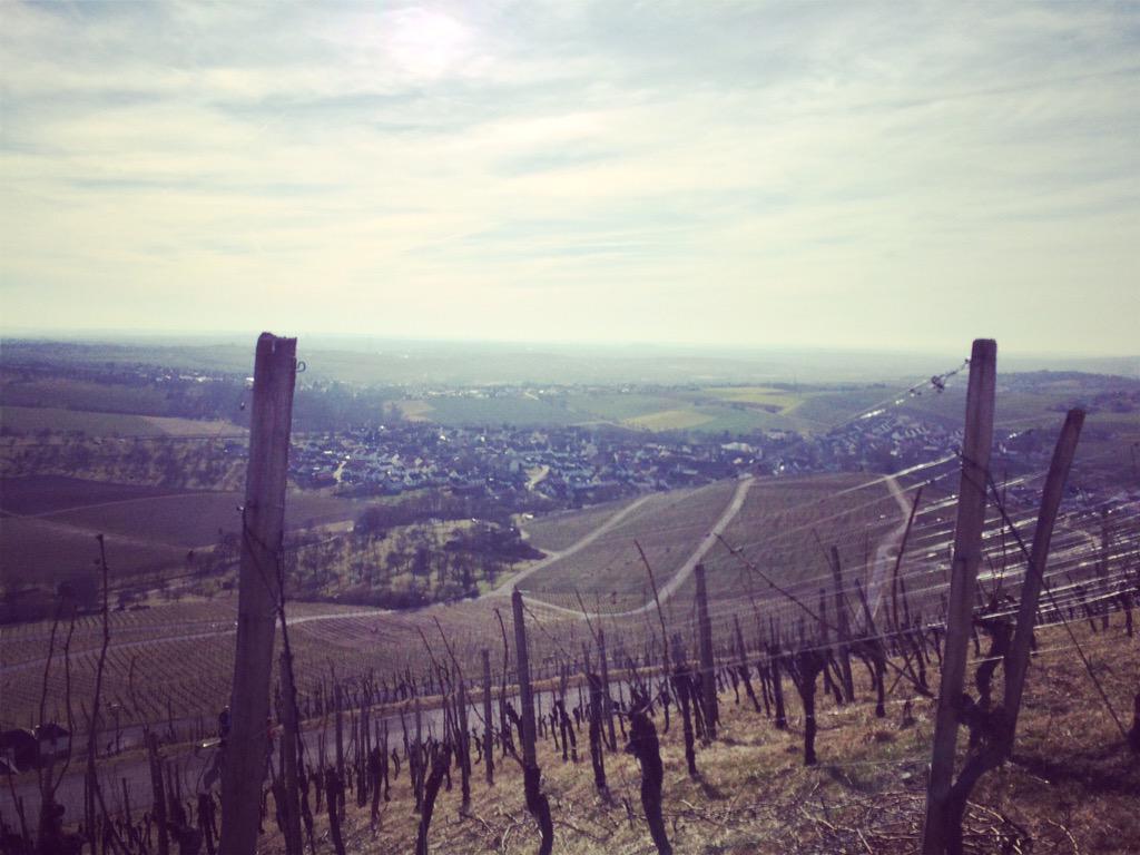 MoritzKlaemt's tweet photo. #spring in the vineyards of #kleinbottwar http://t.co/XCcbIyYAlg