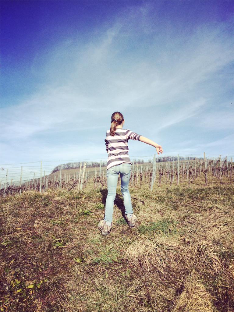 MoritzKlaemt's tweet photo. #spring in the vineyards of #kleinbottwar http://t.co/XCcbIyYAlg