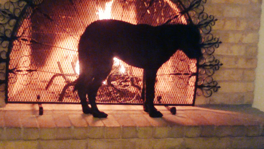 Alphonso Lizcano tweet media