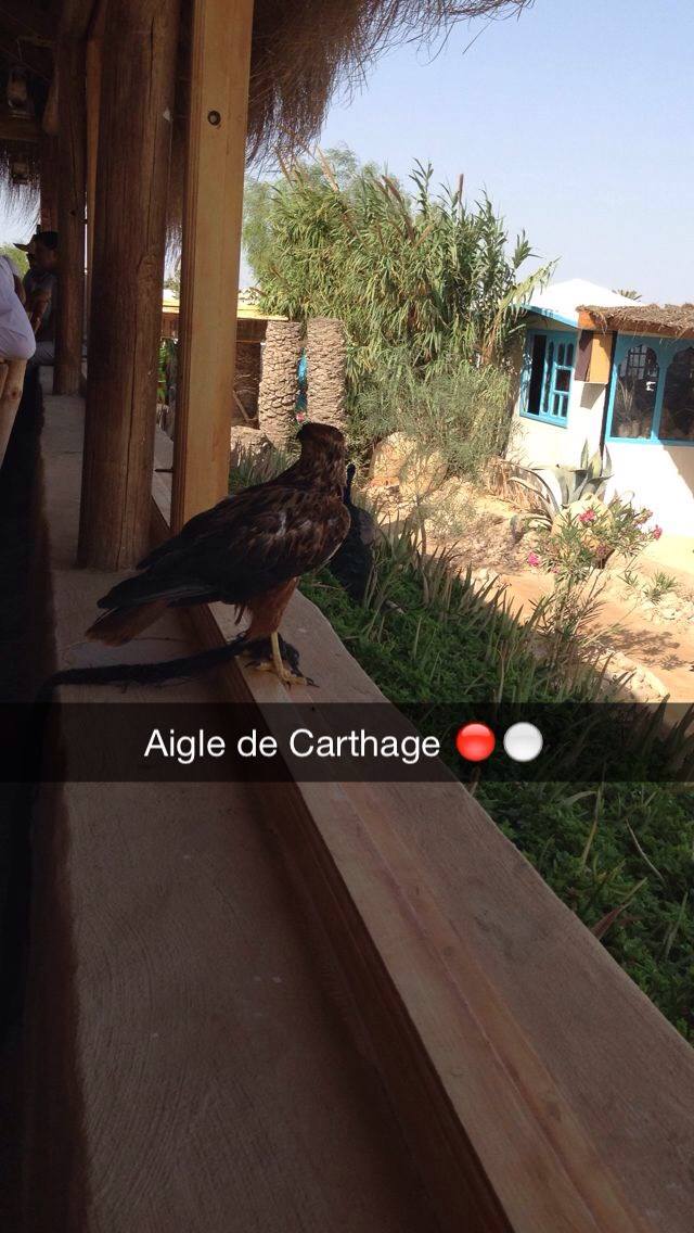Gringoo93's tweet photo. L'été me manque #TeamDjerba #TeamTunisie http://t.co/XsYwoVZbjP