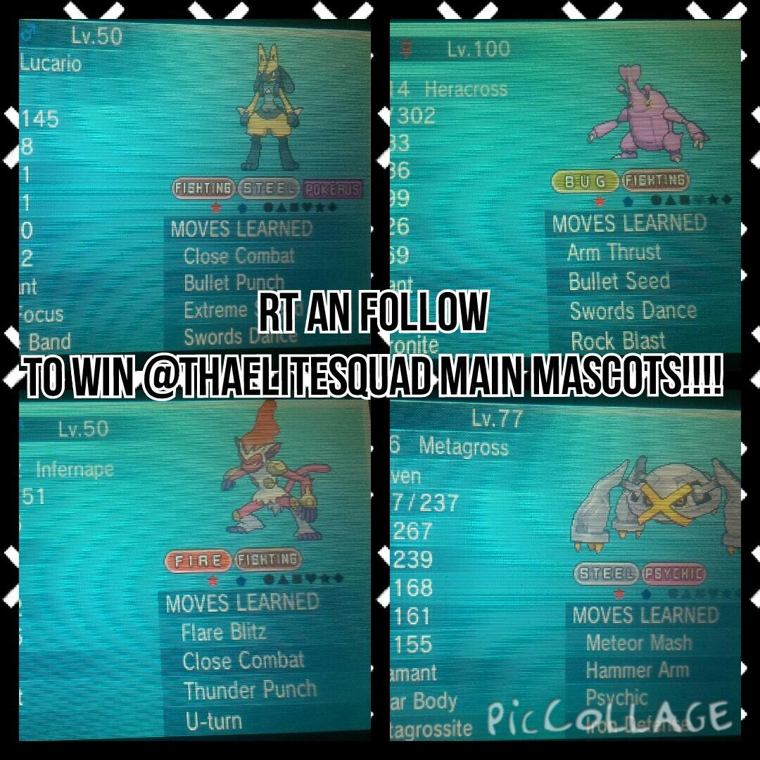 pokemon extreme randomizer majin maxie pokemon extreme randomizer majin maxie