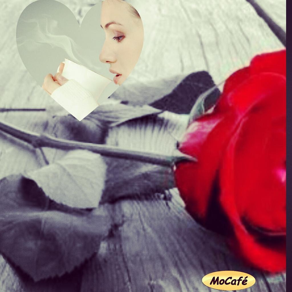CMocafe's tweet photo. Lindo domingo só para elas! http://t.co/4ZbOtZyw4W