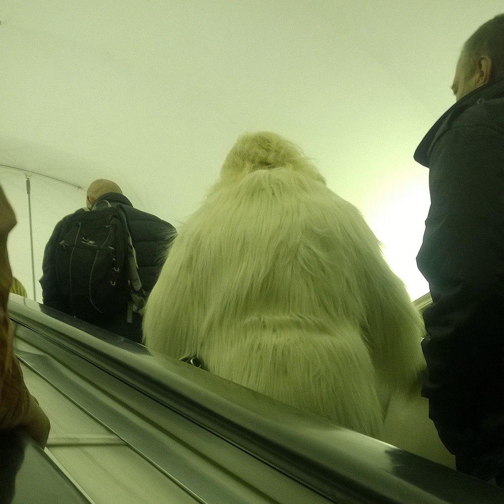 Человек в шубе смешно