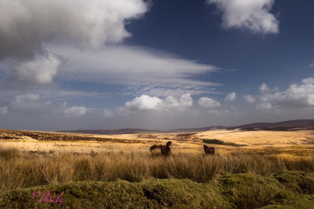 RT <a href="/FourAndTwentyPi/">FourAndTwentyPixels</a>: This shot typifies Exmoor for me.. <a href="/ExmoorNP/">Exmoor National Park</a> #Exmoor  Stunning!