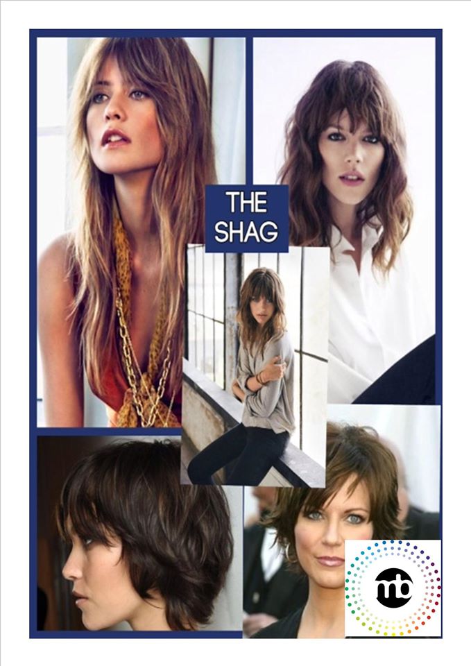 Michelle Blake tweet media