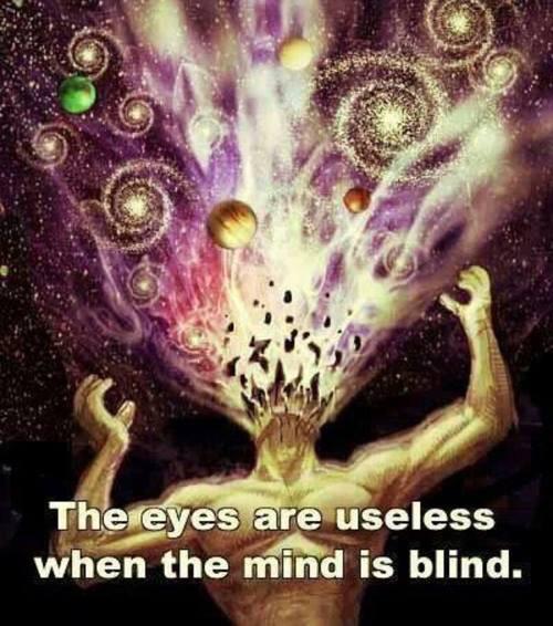 LSDTribe2's tweet image. The eyes are useless.