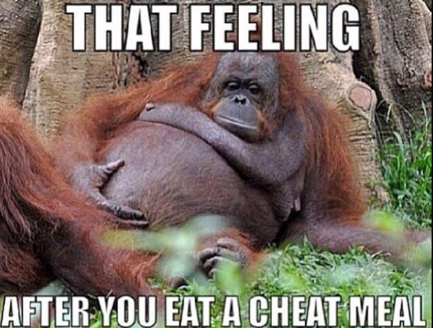 flexbenfleet's tweet image. 