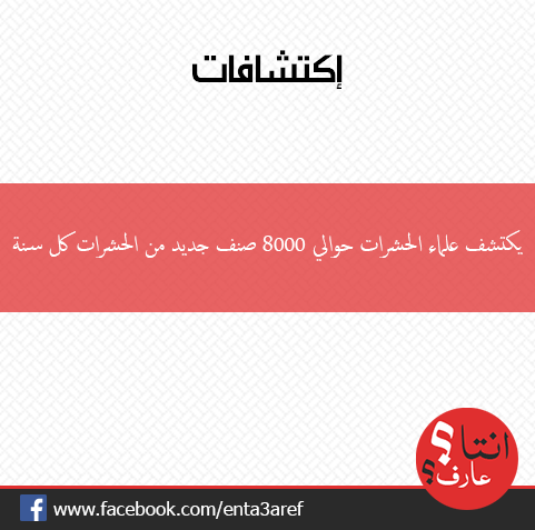 enta3aref's tweet photo. يكتشف #علماء #الحشرات حوالي 8000 صنف جديد من الحشرات كل سنة

#انتا_عارف؟
#معلومه #مفيدة #غرائب #صور #من_كل_الدنيا http://t.co/W2kGsXXvAD