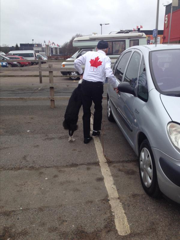 judysale23's tweet photo. THE #KennelClub FIND THIS ACCEPTABLE & WILL NOT PUNISH #DavidHolzman FOR MISTREATING HIS DOG AT #CRUFTS 🐶DISGUSTED 😬💔👎http://t.co/Ul8qKmfDkC