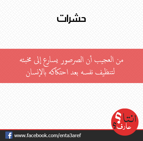 enta3aref's tweet photo. من العجيب أن الصرصور يسارع إلى مخبئه لتنظيف نفسه بعد آحتكاكه بالإنسان

#انتا_عارف؟
#معلومه #مفيدة #غرائب #صور http://t.co/NE0n5fLvVG