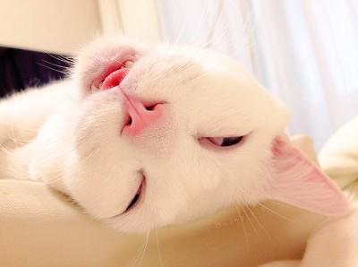 JRDAVIS95's tweet photo. “@HighSkoolProbs: tomorrow's monday http://t.co/c4Taxpadv9” @erinwilliamsonn