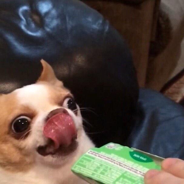 InfestedRPG's tweet image. Come join 💁