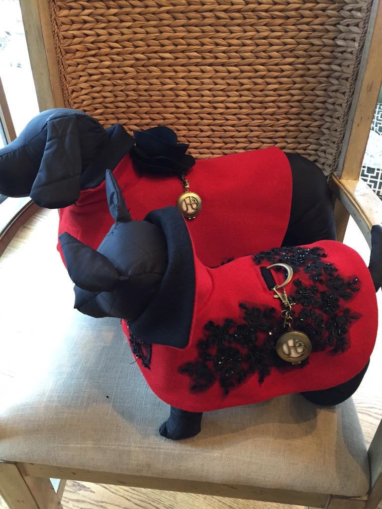 HeavenlyBeasts's tweet image. #arizonafoothillsmagazine #heavenlybeasts #jetsetready