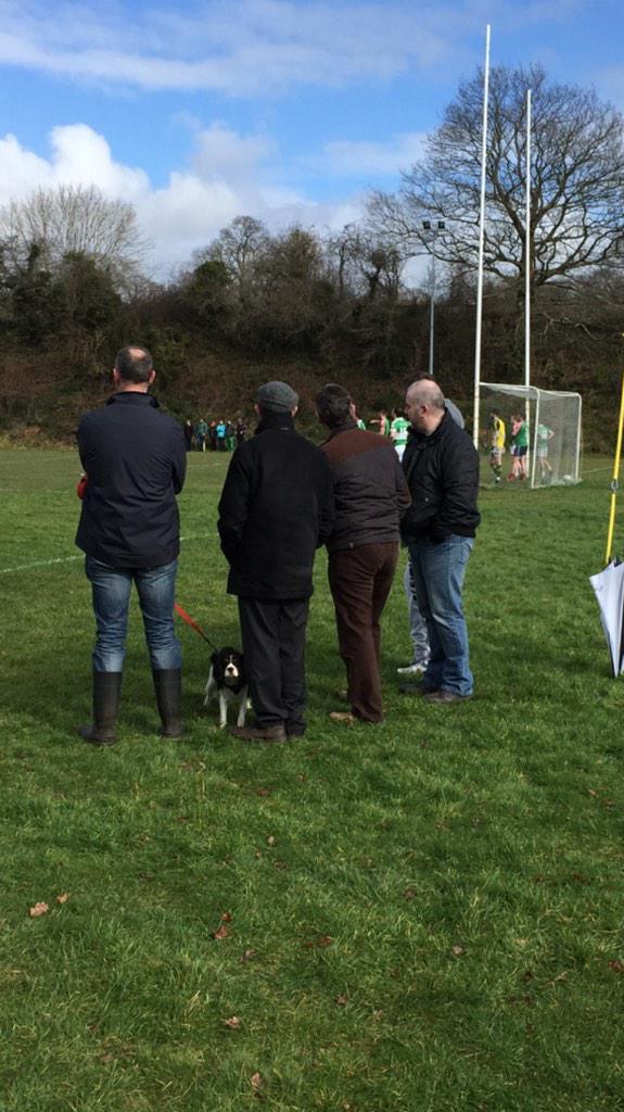 James O'Donoghue tweet media