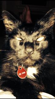 RealDoctorCool's tweet image. #stonedselfie