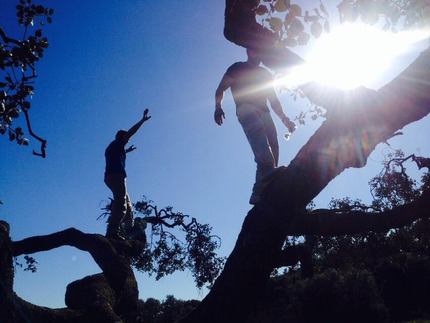 jesusodos's tweet photo. Dia de campo en #HinojosaDeSanVicente #outdoor #training #árboles #likemonkeys #equilibrios #naturaleza http://t.co/6HtAURvY0R
