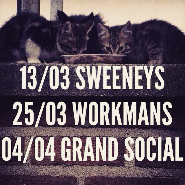 || Three cats for Lè Three gigs ||