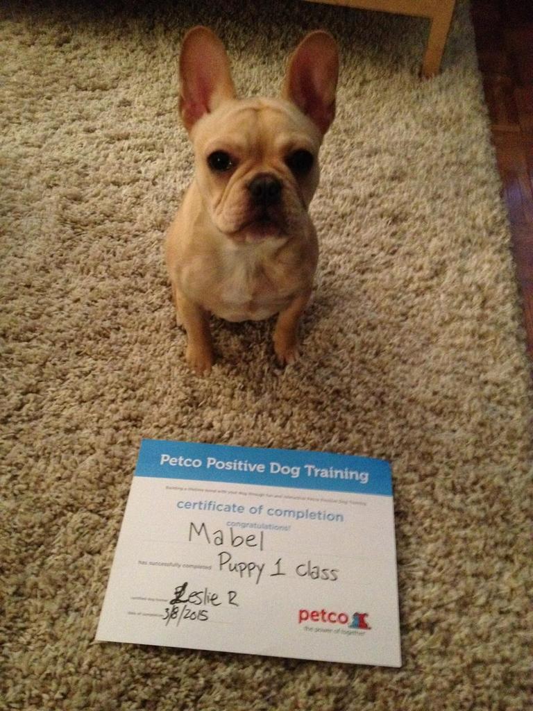 You talking bout Mabel? <a href="/fancyprancysox/">Noneya</a> <a href="/marceybrody/">Marcey Brody</a> <a href="/TriniBurks/">Trini Burks</a> <a href="/BigEi/">eileen sweeney</a> #GraduatesGraduate #HassleWasWorthTheTassle