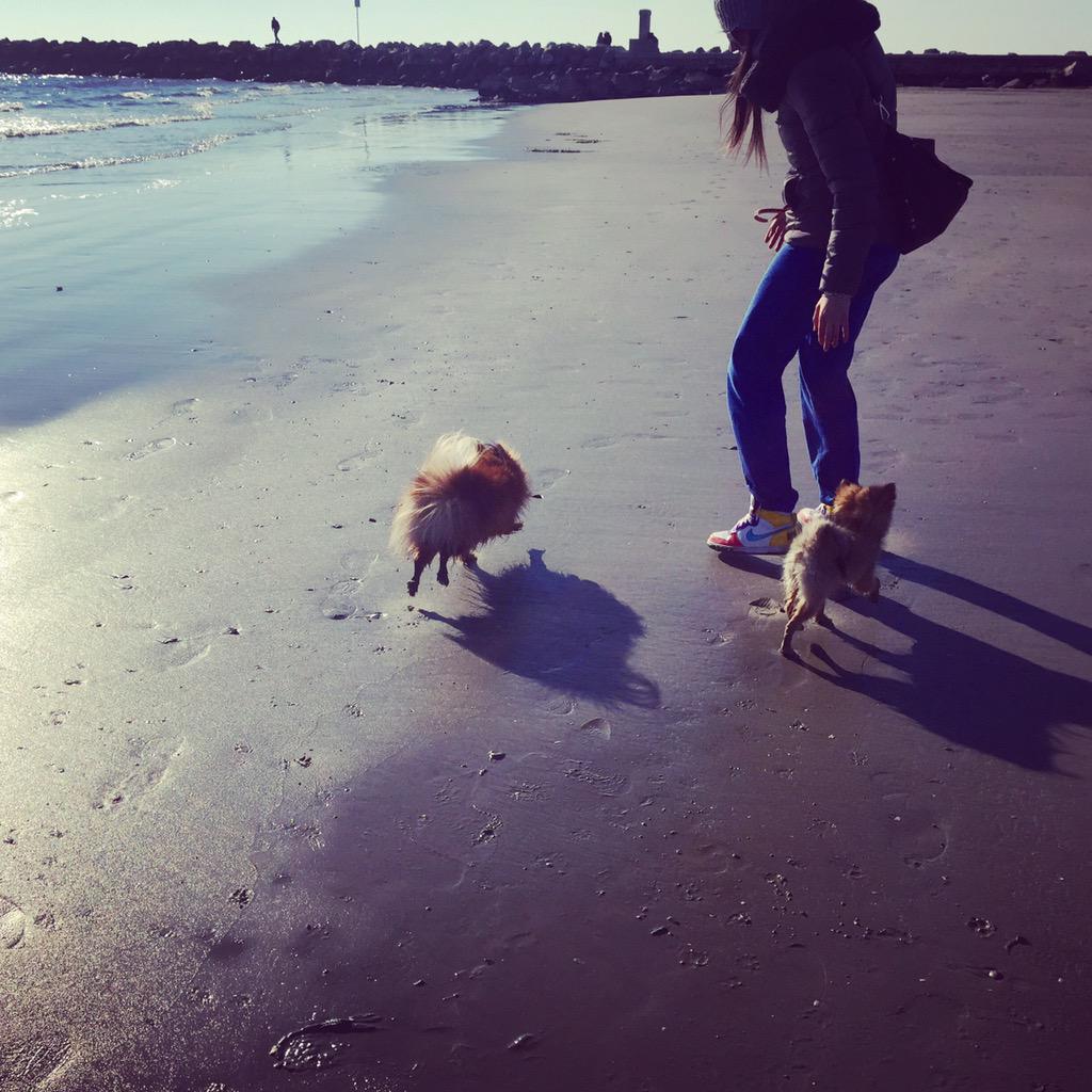francygube's tweet photo. #happy #sunday #8marzo #allyouneedislove #grado #beach #love #pomerania http://t.co/GA6dG7fb8U