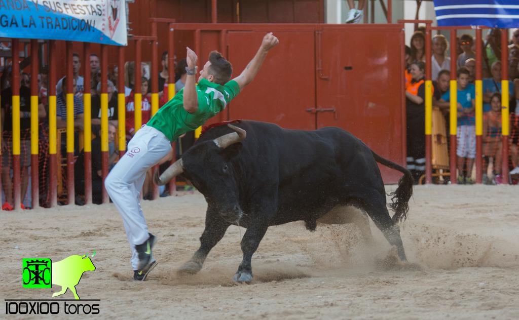 100x100Toros's tweet photo. ¡¡Al Cesar lo que es del Cesar!!
#FuerzaCuatio #RazaTorera
#RazaTorera #FuerzaCuatio
#FuerzaCuatio #RazaTorera http://t.co/Wn5eMInvXR