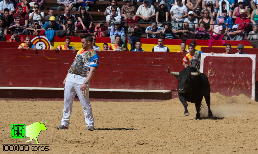 100x100Toros's tweet photo. ¡¡Al Cesar lo que es del Cesar!!
#FuerzaCuatio #RazaTorera
#RazaTorera #FuerzaCuatio
#FuerzaCuatio #RazaTorera http://t.co/Wn5eMInvXR