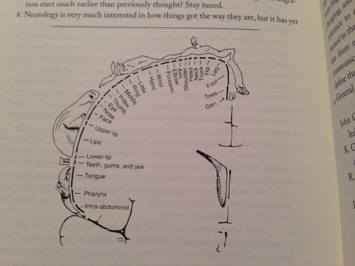 RobotBilim's tweet image. Beynimizin en bağlantılı olduğu organın elimiz olduğunu biliyor muydunuz? #BilmekYapmaktır #RobotBilim