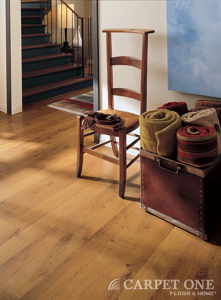 CarpetOne's tweet image. Laminate floors are great for high traffic areas of the home #FloorTips gag.gl/fGfQDo