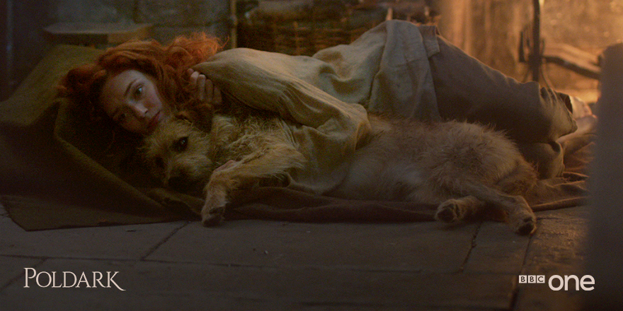 BBCOne's tweet image. Loyalty is everything. No matter what species you are. #Poldark