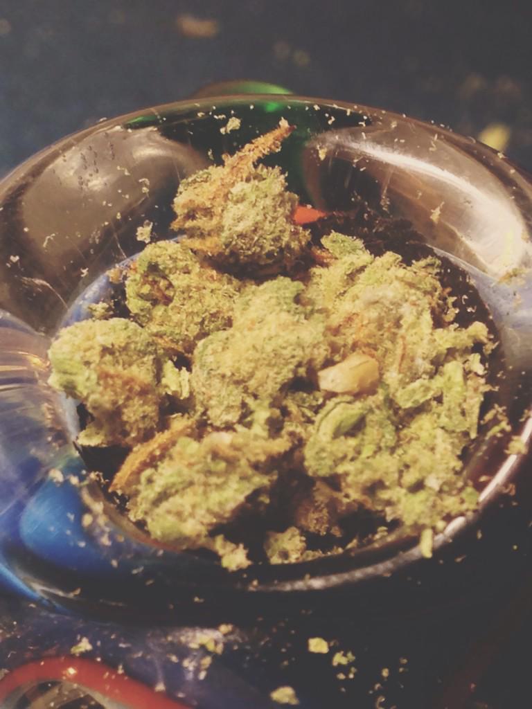 the past couple weeks in pictures ~