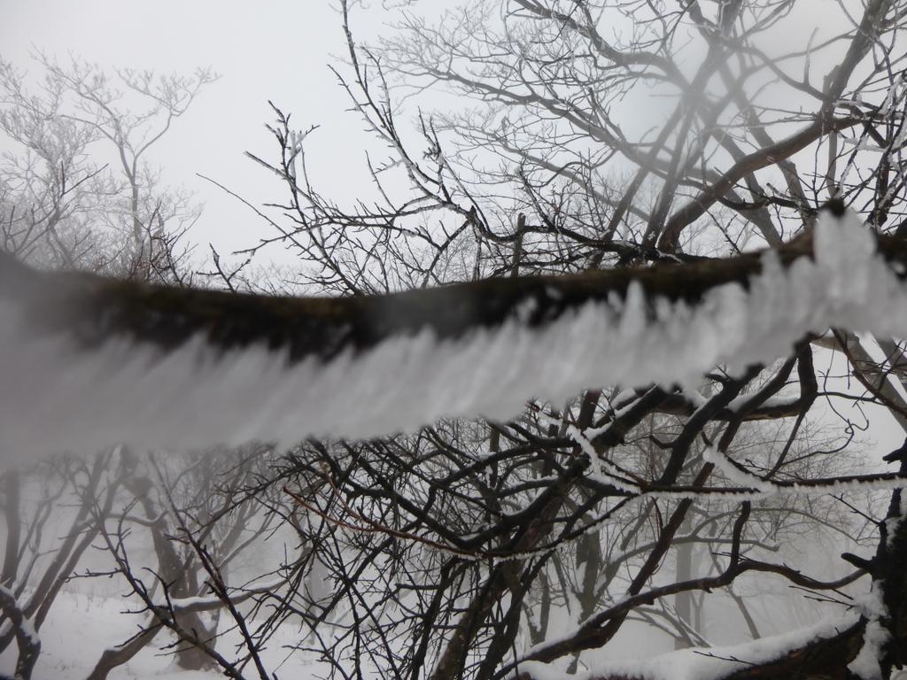 leafgables's tweet photo. 2日目はみぞれに打たれながら不動の峰手前まで行き、引き返して塔の岳へ。その後ユーシンから寄に下山しました。 http://t.co/0nw9oyXpbq