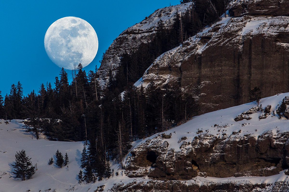 Embedded image permalink