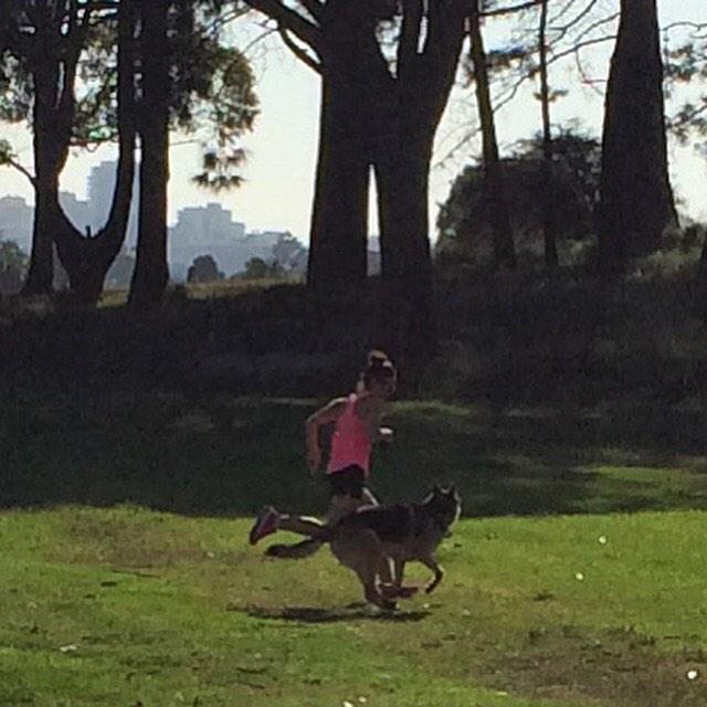 123weesteph's tweet image. Morning run with my fluffy partner . #moveovercancer @themarchcharge  @RMVAberdeen #4.57ks