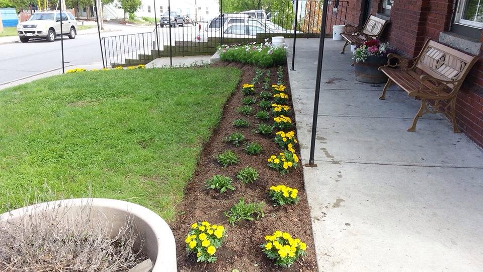 NPLandscape's tweet image. Our work! We strive for excellence!