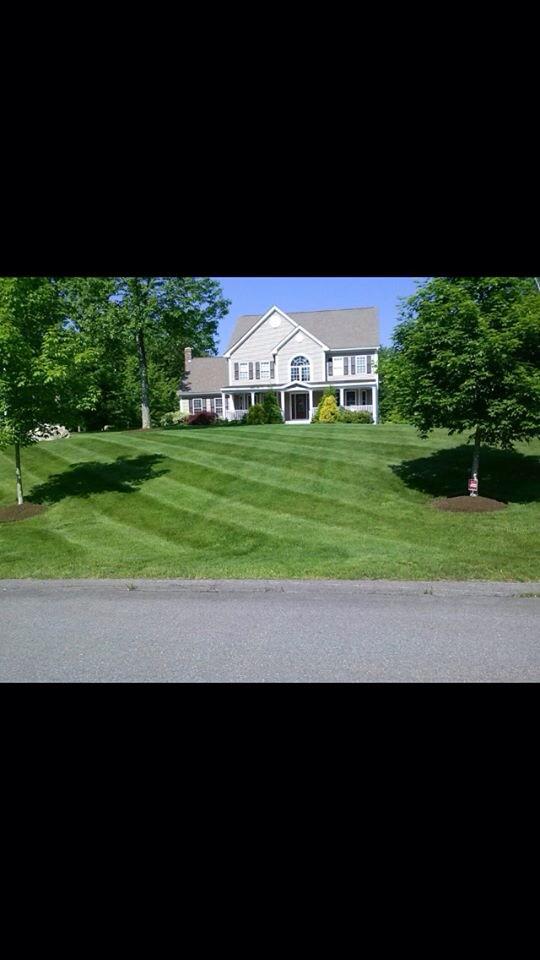 NPLandscape's tweet image. Our work! We strive for excellence!