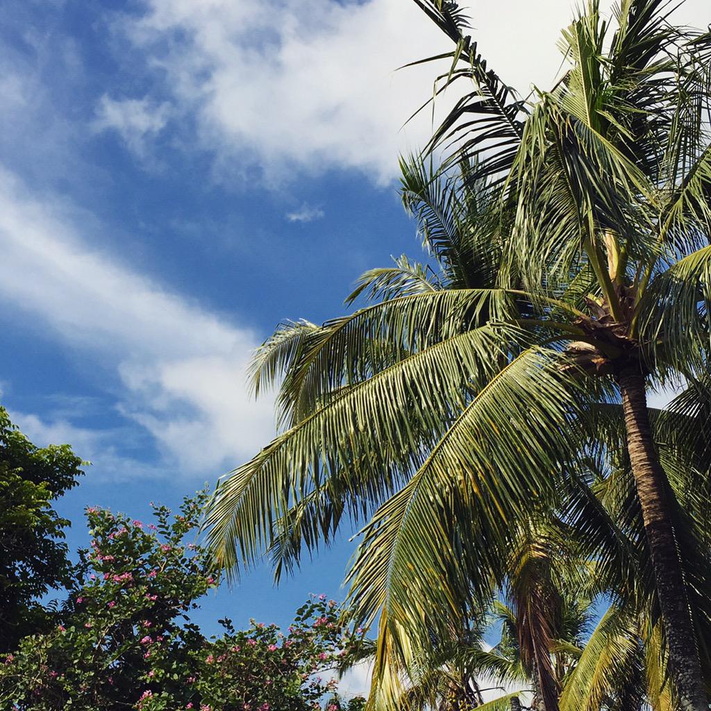 afwray's tweet photo. Sunshine!!! 🌴☀️🌸 #Ubud #Bali #Vancouverweatherissomehowbetter #travel http://t.co/rA5e3lCxOv