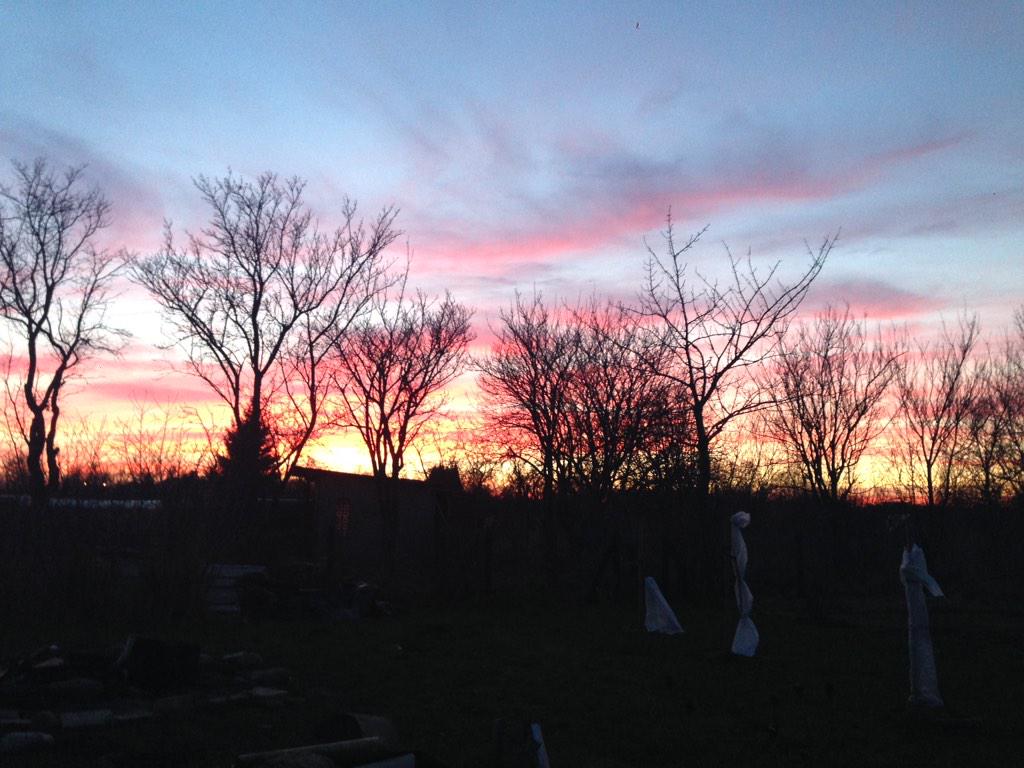 c4eative's tweet image. ;)