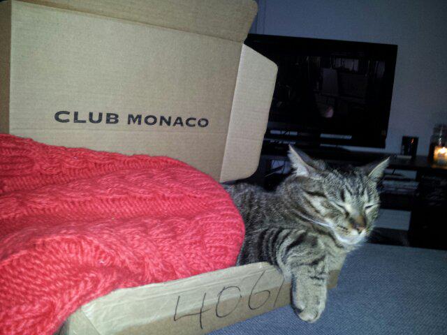 Trajady's tweet photo. Mr Bruces bed, Monaco Cat  @ClubMonaco #cumfyclub #monacocat @kzbarskypt http://t.co/tsqdPwNecf