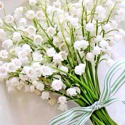 joyfulng's tweet image. #loveflowers #SpringSoon