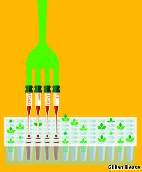 TheEconomist's tweet photo. Tech startups make sustainable versions of meat and dairy products from plants http://t.co/QAY5q6Pl1B http://t.co/FyHAnQ4NEg