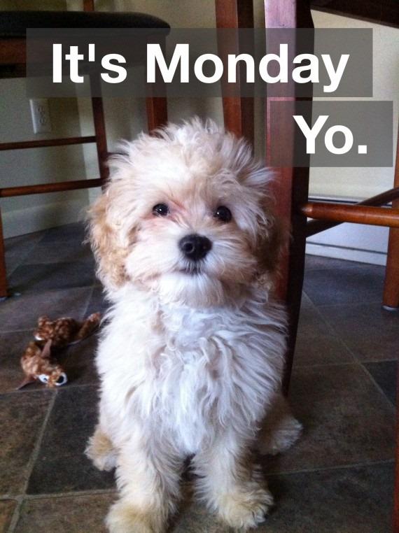 Begin this #newweek with a positive thought...

#HappyMonday and have a great week... #Monday