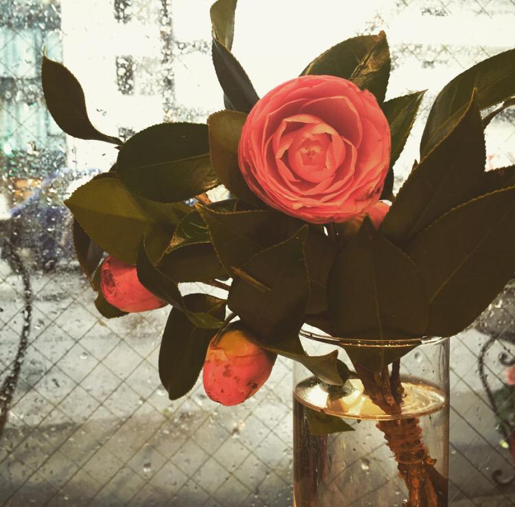 青葉台フローリスト Aobadai F Twitter