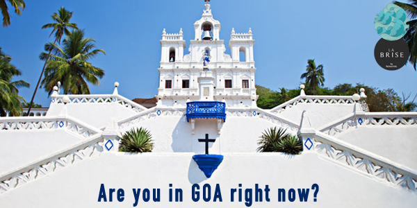 labrisegoa's tweet photo. How many of you enjoying in #Goa right now. Tell us where you are and we’ll tell you where to head to! http://t.co/SMvVIcue1c