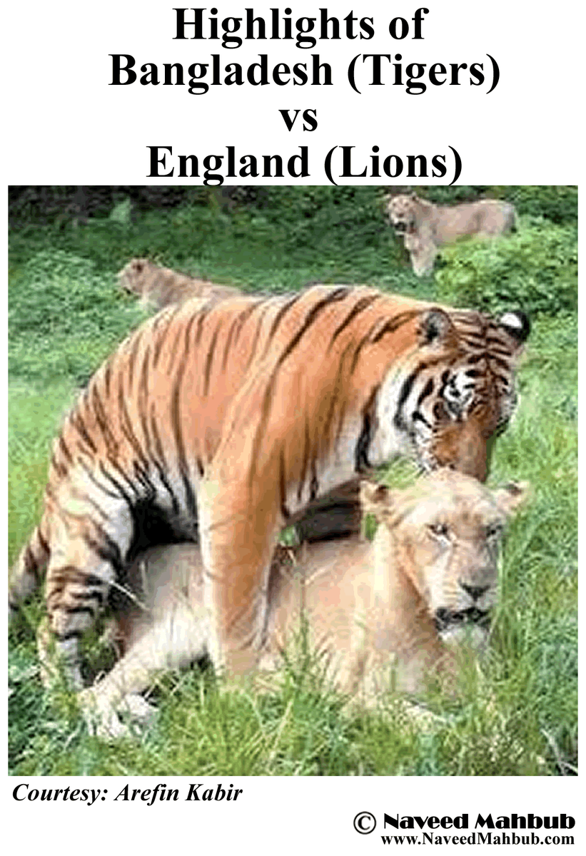 RexSport1123's tweet photo. Summarizing the #ENGvBAN game #CricketWorldCup http://t.co/h8XNkQWY7Q