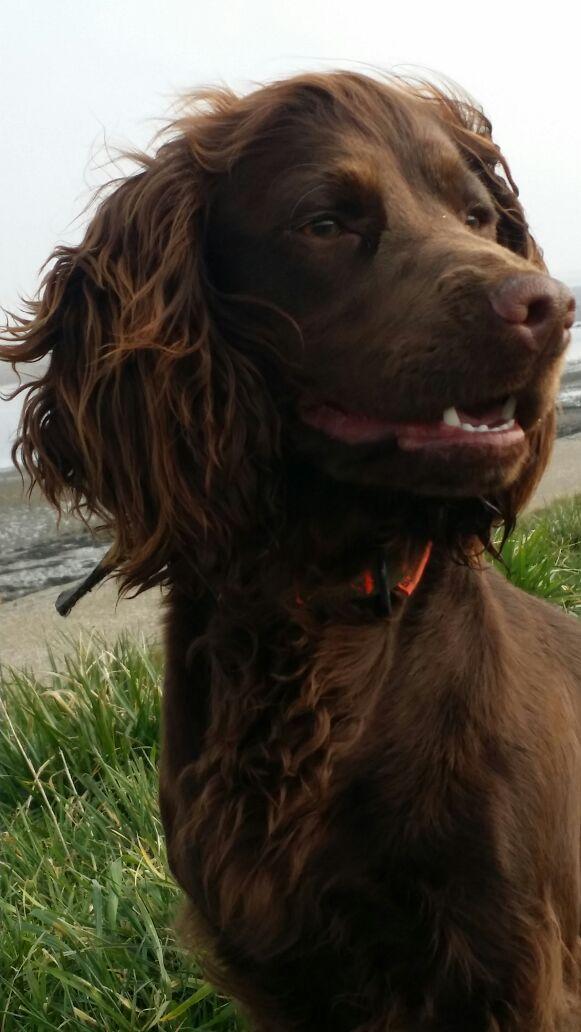 Erwin Staal tweet media