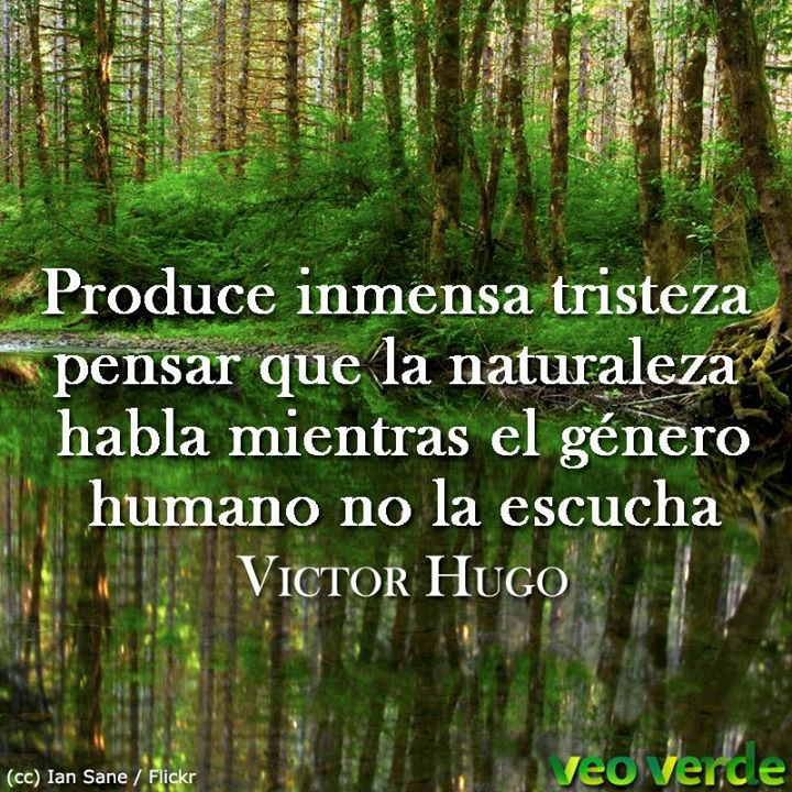 veoverde's tweet photo. La Naturaleza nos habla. Pongamos atención. » Hermosa semana 🍃 http://t.co/IHPEx6bo5e