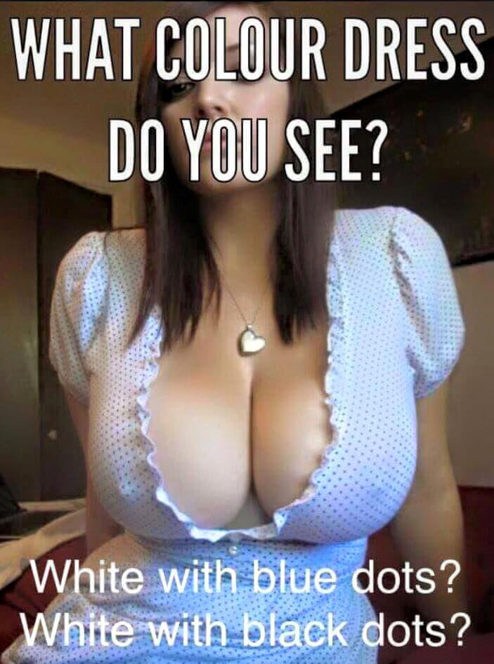 myracingtips's tweet image. #TheDress