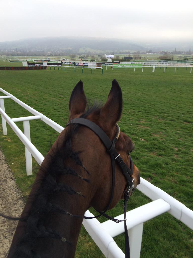 Flys happy this morning!! 🏆#dfly