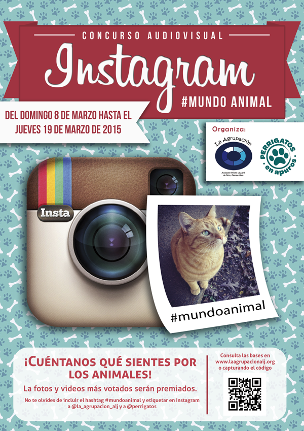 Laagrupacionaij's tweet photo. ¿Qué sientes por los animales? Participa en nuestro concurso #MundoAnimal con @perrigatosenapu http://t.co/9MwcQykBFG http://t.co/Eq9itj9AJT