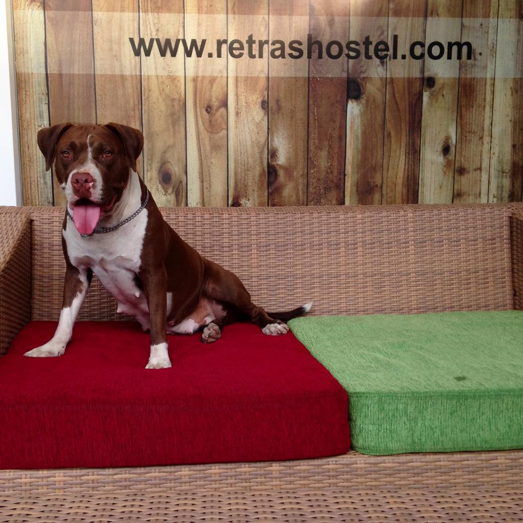 Ada yang sudah kenal sama Andrea? ;)